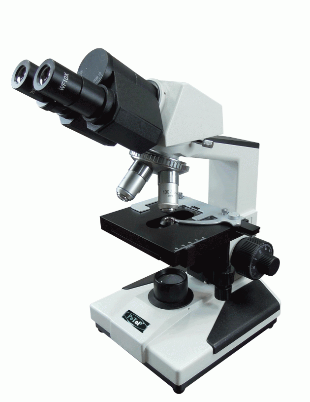 PB-36系列 雙目顯微鏡