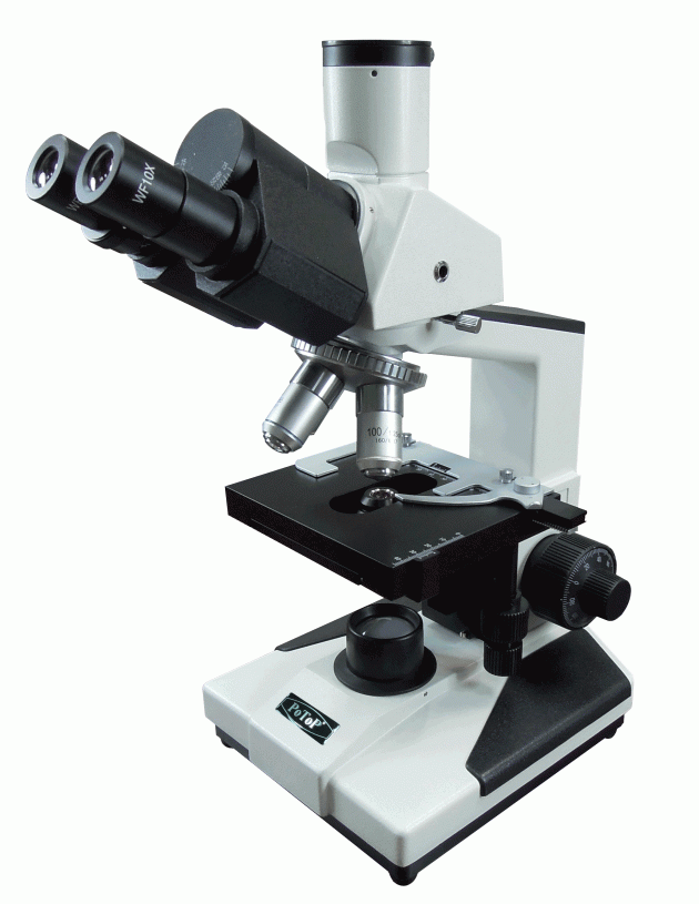 PB-36系列 三目顯微鏡