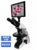 PBD-43系列 數位影像顯微鏡